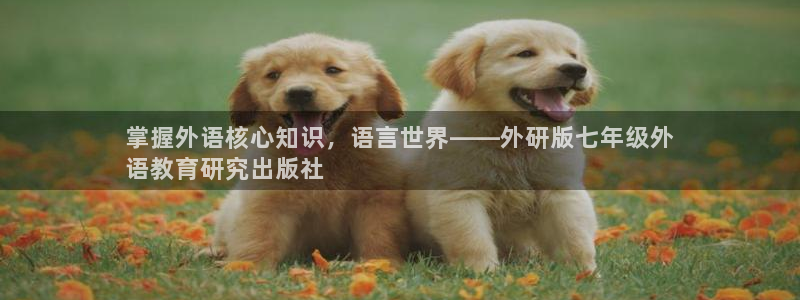 j9九游会俱乐部