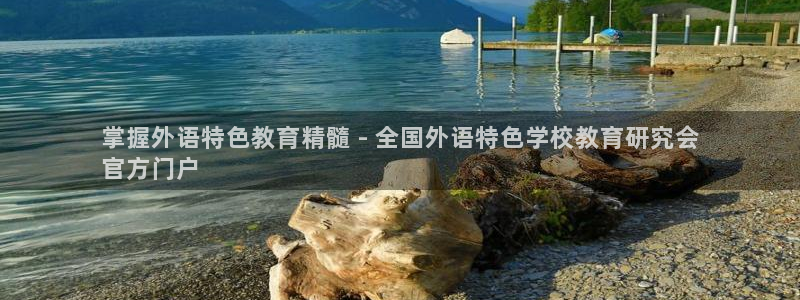 九游会官网j9